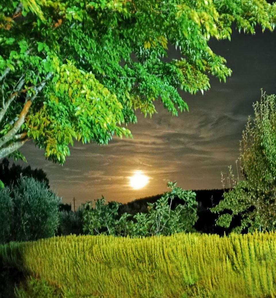 Villa Casa Tonino Pisticci Esterno foto